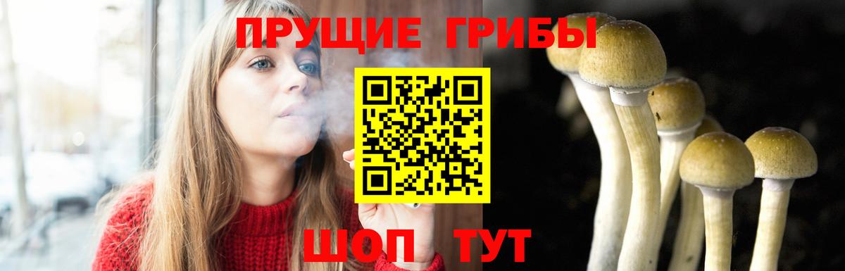 Ногинск  Галлюциногенные грибы мухоморы  Вход с VPN 